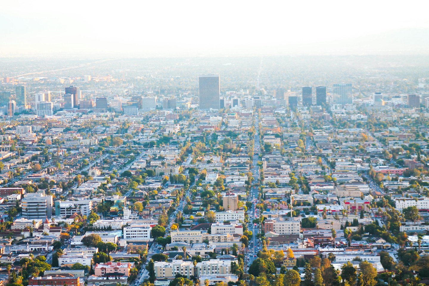 Aerial view of a sprawling city with residential and commercial areas.
