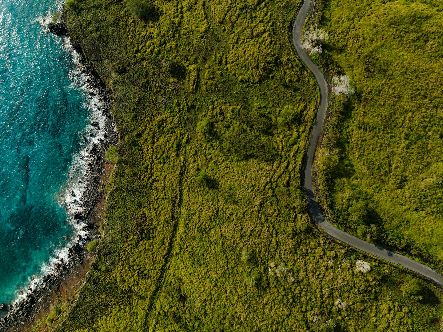 A winding road cuts through the green landscape beside turquoise waves.